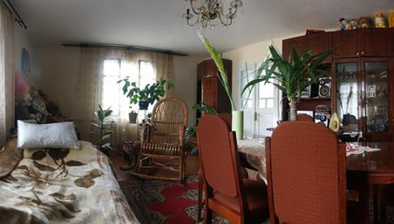 Cozy living room with plants and wooden furniture decor